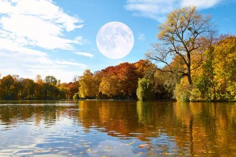 Autumn Stock Photos