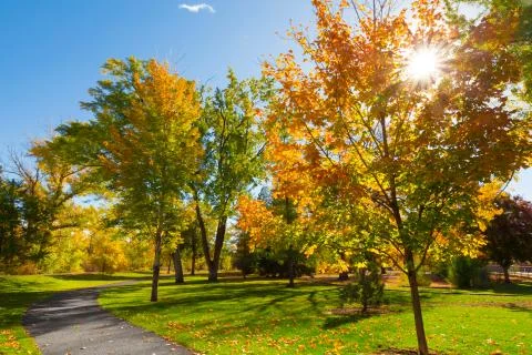 Autumn Stock Photos