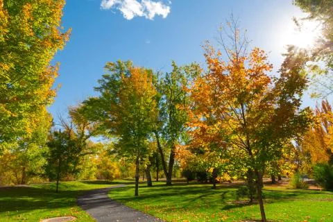 Autumn Stock Photos