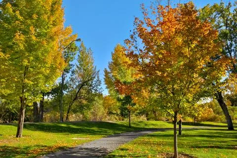 Autumn Stock Photos