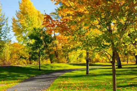 Autumn Stock Photos