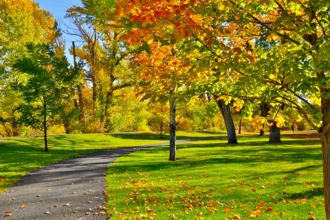 Autumn Stock Photos
