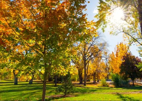 Autumn Stock Photos