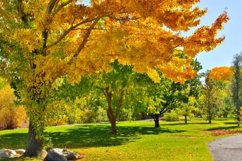 Autumn Stock Photos