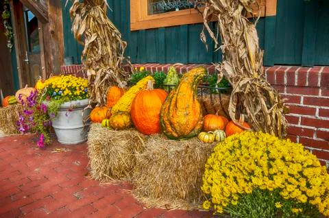 Autumn Stock Photos