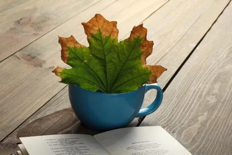 Autumn Stock Photos