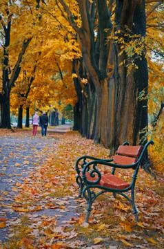 Autumn Stock Photos