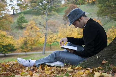 Autumn Stock Photos
