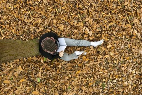 Autumn Stock Photos