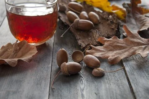 Autumn. Stock Photos