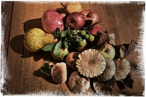 Autumn Stock Photos