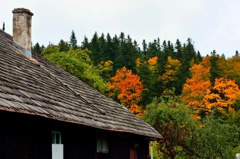 Autumn Stock Photos