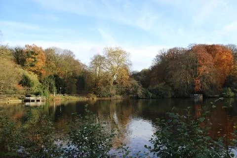 Autumn Stock Photos
