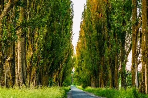 Autumn Stock Photos