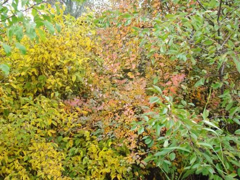 Autumn Stock-Fotos