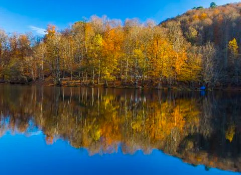 Autumn Foto stock