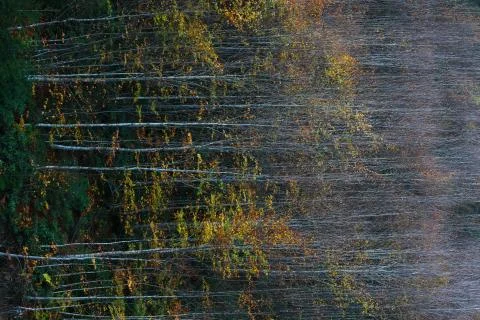 Autumn Stock Photos