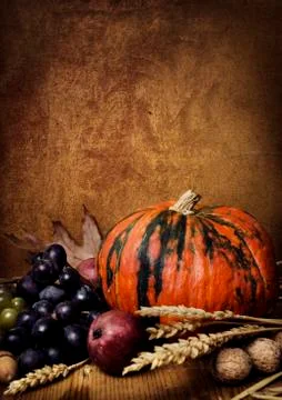 Autumn Stock Photos