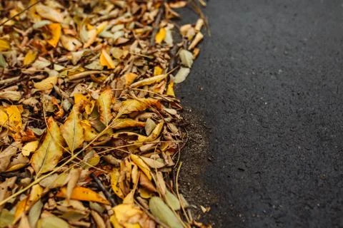 Autumn Stock Photos
