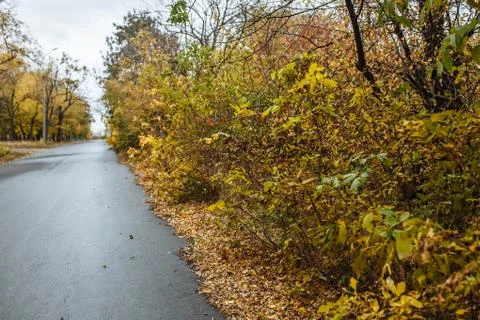 Autumn Stock Photos