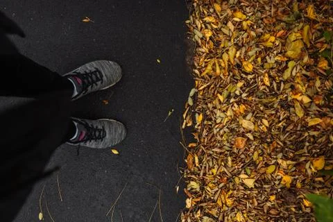 Autumn Stock Photos