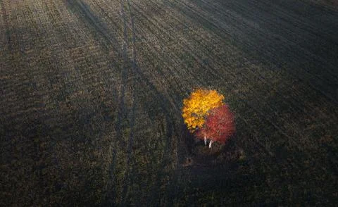 Autumn Stock Photos
