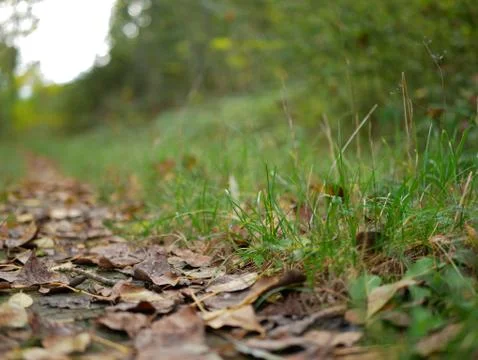 Autumn Foto stock