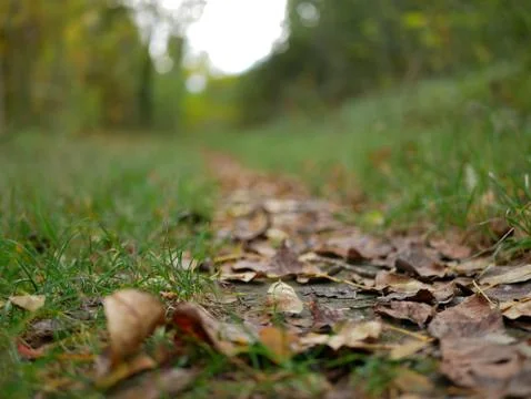 Autumn Foto stock