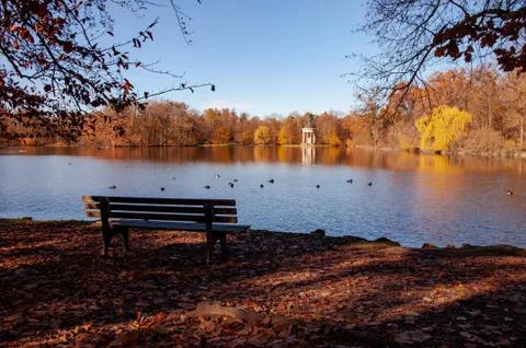 Autumn Stock Photos
