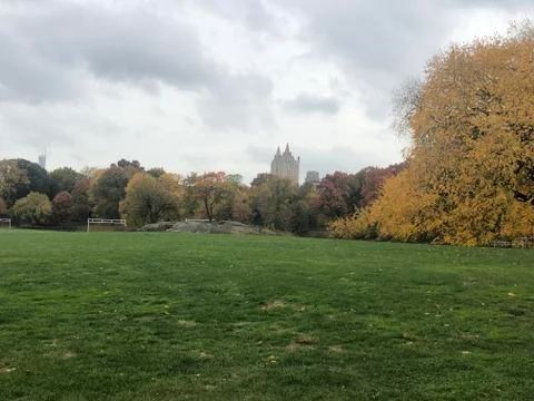 Autumn 库存照片