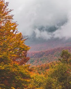 Autumn Stock Photos