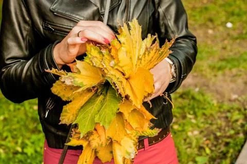 Autumn  Stock Photos