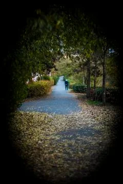 Autumn Stock Photos