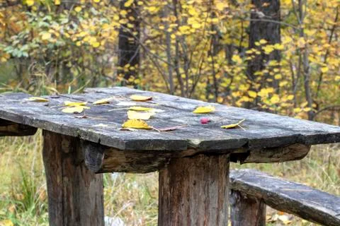 Autumn. Stock Photos