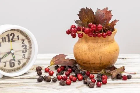 Autumn. Stock Photos