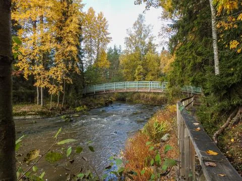 Autumn Stock Photos