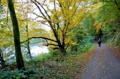 Autumn Stock Photos