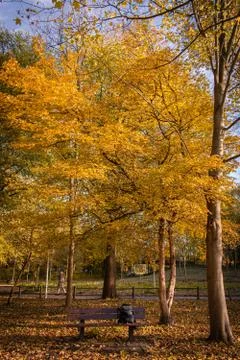 Autumn Stock Photos