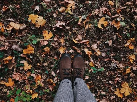 Autumn Stock Photos