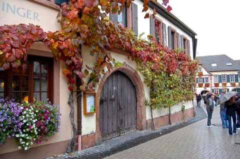 Autumn Stock Photos