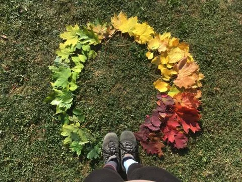 Autumn Stock Photos