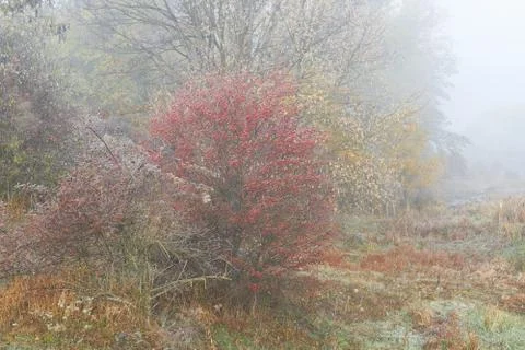 Autumn Stock Photos