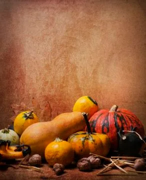 Autumn Stock-Fotos