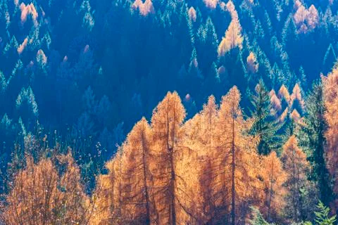 Autumn Stock Photos