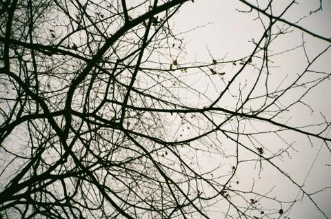 Autumn Stock Photos