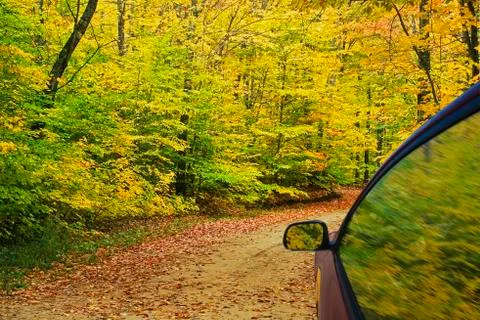 Autumn Stock Photos