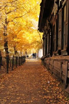 Autumn  Foto stock