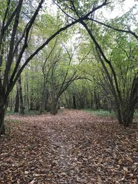 AUTUMN Stock Photos