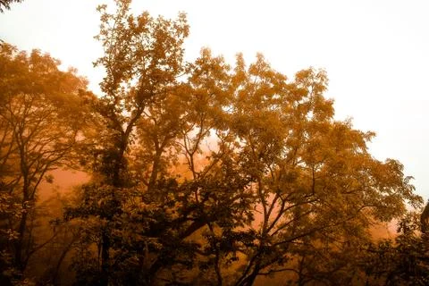 Autumn Stock Photos