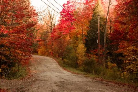 Autumn Stock Photos
